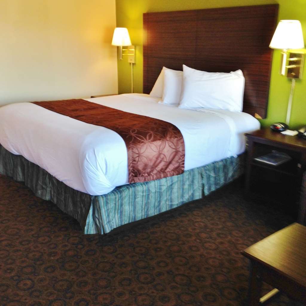 Americas Best Value Inn & Suites Greenville Room photo
